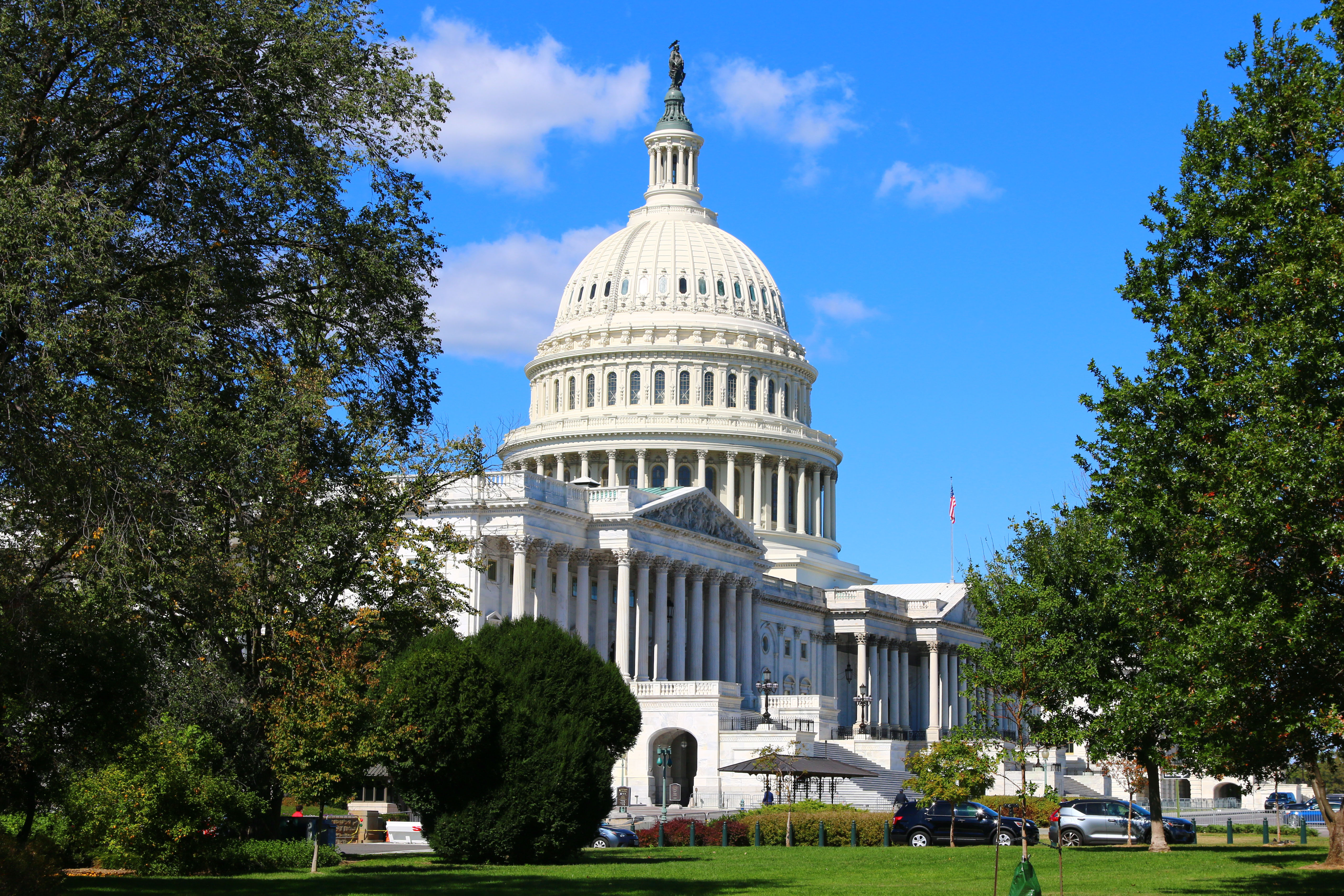 Capitol and trees