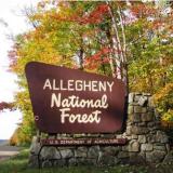 Allegheny National Forest sign