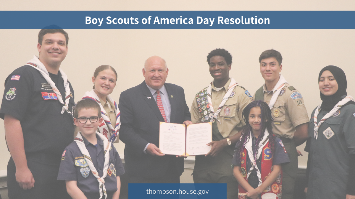 BSA Resolution Banner