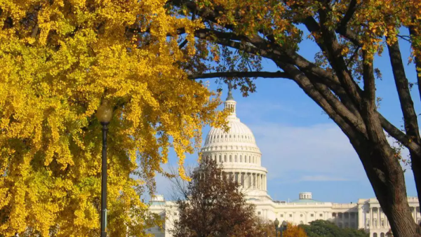 Capitol in the fall