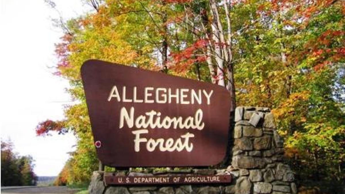 Allegheny National Forest sign